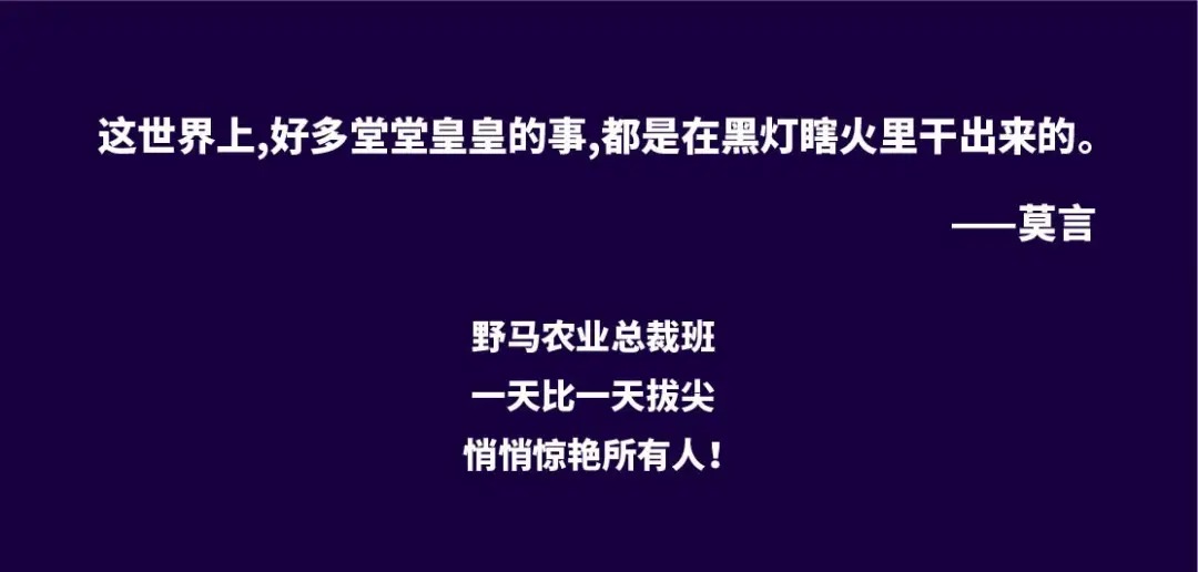 相约莫言故里 | 春沣野马农业总裁班游学南洋鸿基