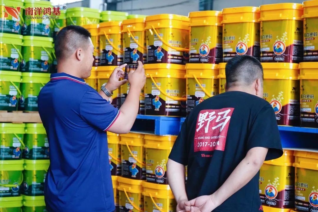 问道特肥 | 野马总裁班七八期学员游学南洋鸿基