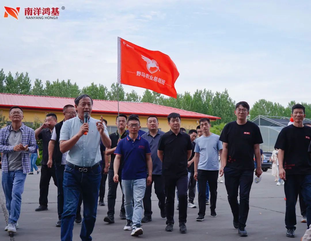 问道特肥 | 野马总裁班七八期学员游学南洋鸿基