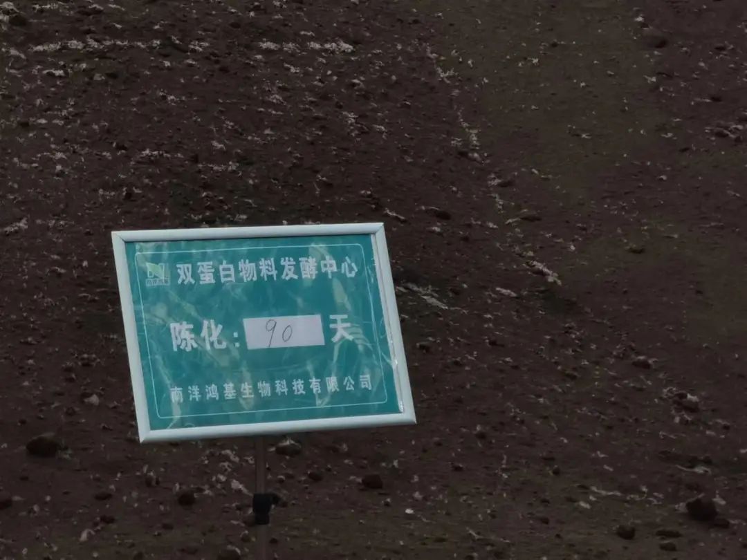 问道特肥 | 野马总裁班七八期学员游学南洋鸿基