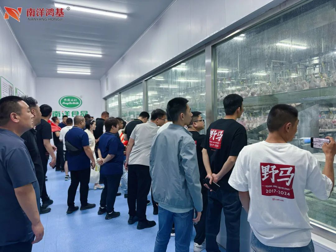 问道特肥 | 野马总裁班七八期学员游学南洋鸿基