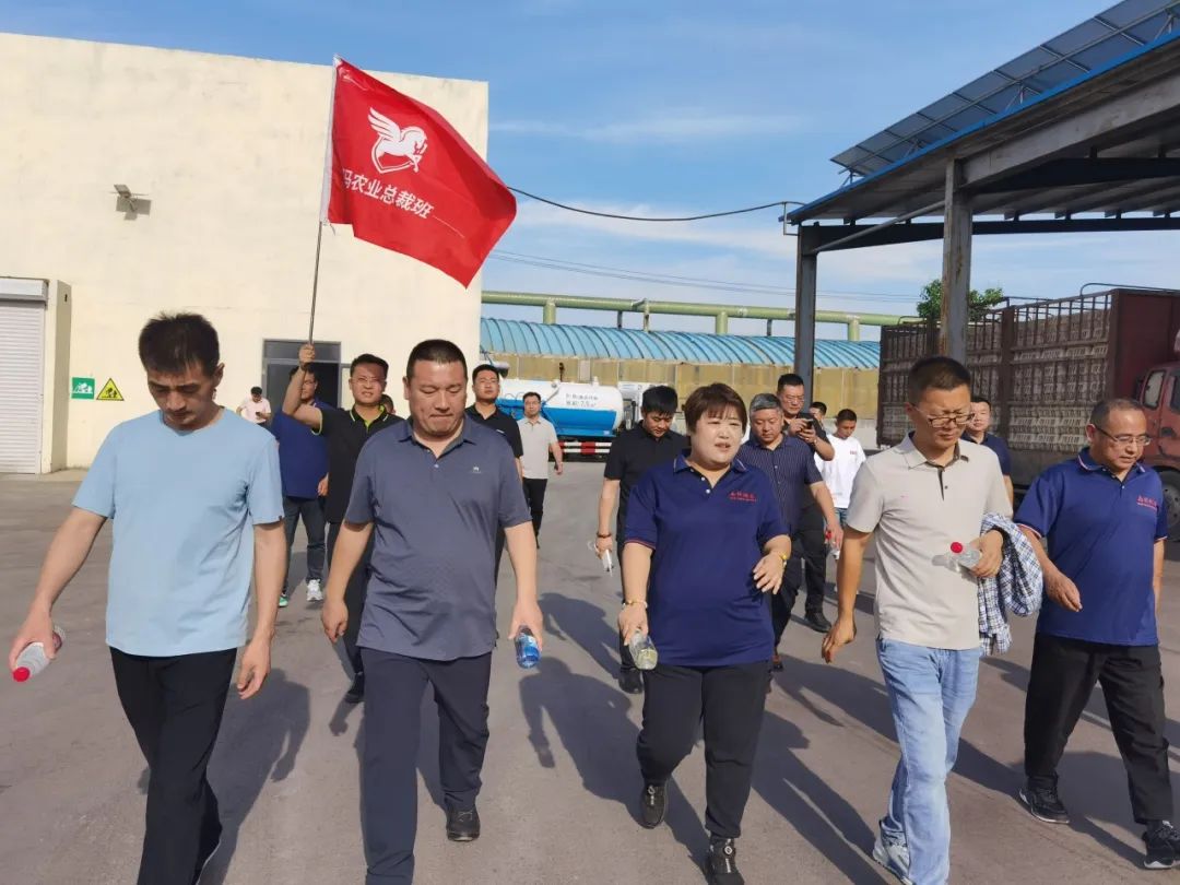 问道特肥 | 野马总裁班七八期学员游学南洋鸿基