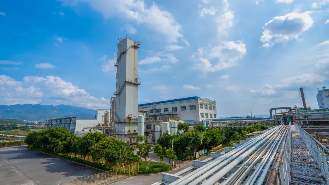 传承红色基因 | 春沣野马总裁班游学云南解化