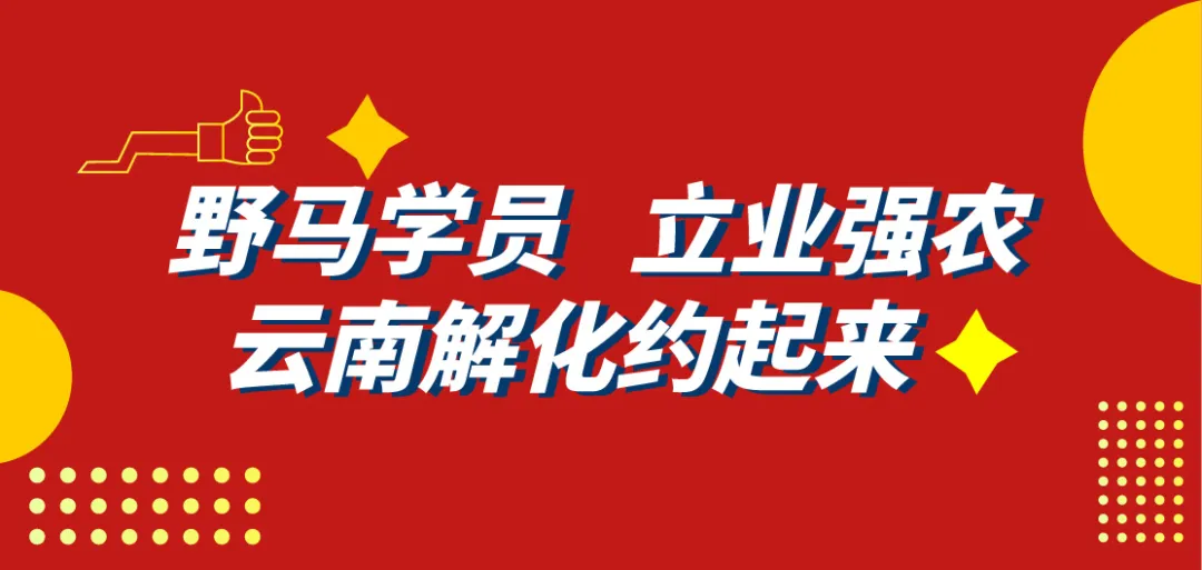 传承红色基因 | 春沣野马总裁班游学云南解化