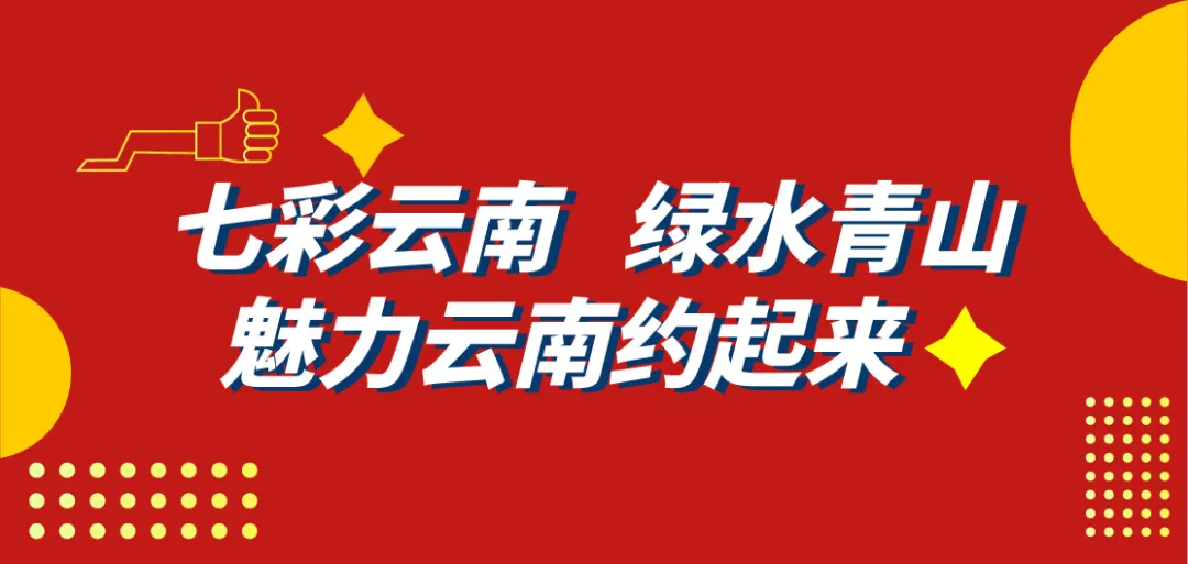 传承红色基因 | 春沣野马总裁班游学云南解化