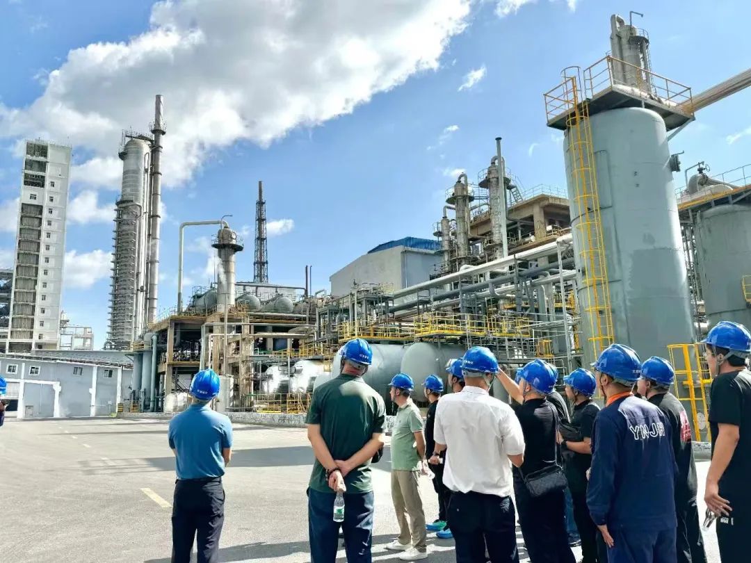 走进解化 共绘“沣”收 | 野马总裁班探访云南解化