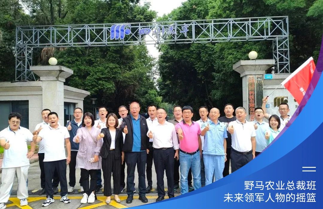 与十俱进，春沣野马总裁班第十期招生简章