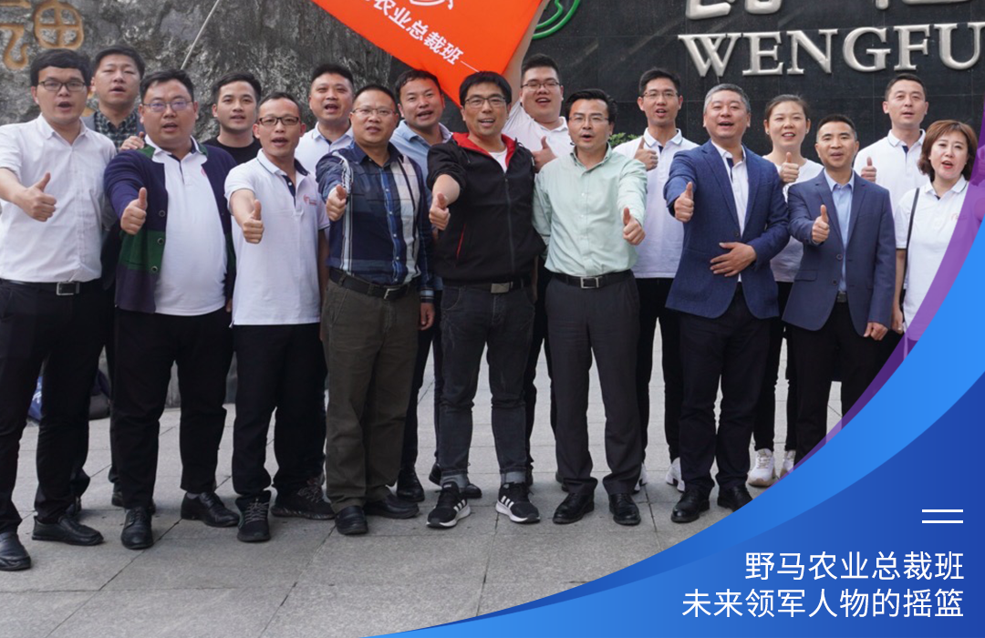 与十俱进，春沣野马总裁班第十期招生简章