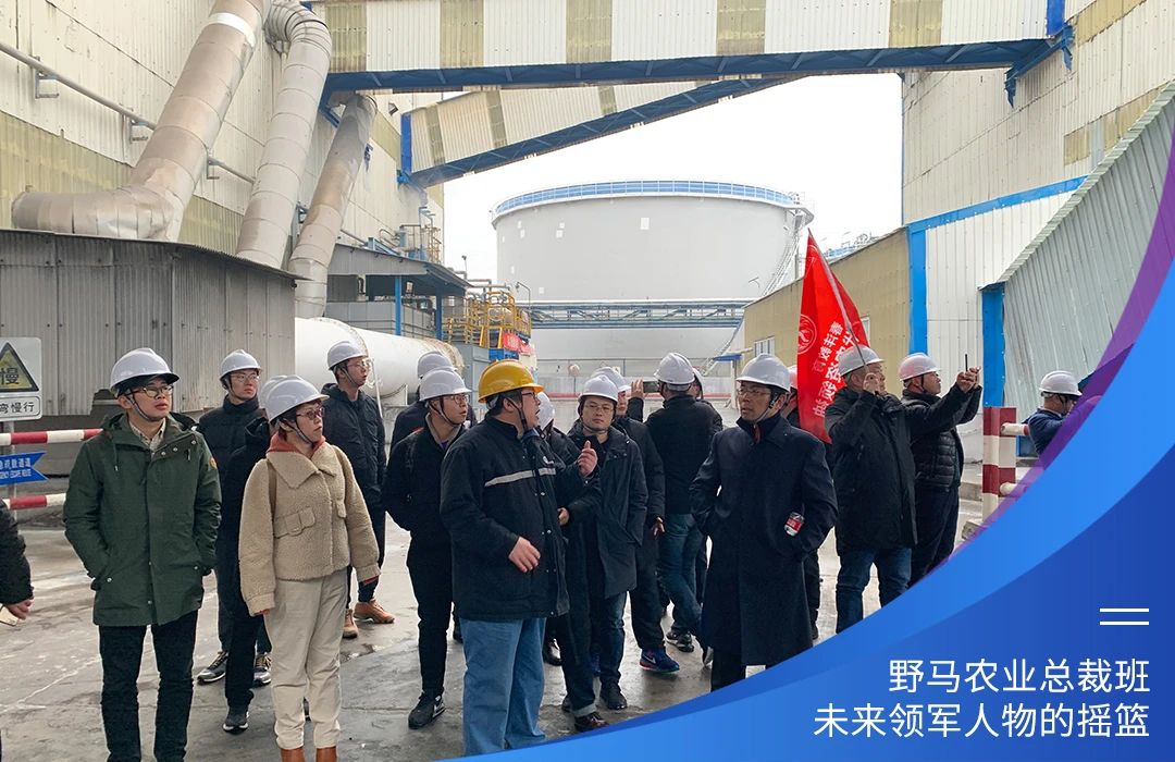 与十俱进，春沣野马总裁班第十期招生简章