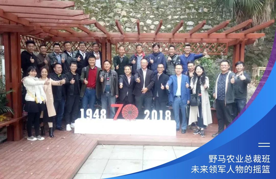 与十俱进，春沣野马总裁班第十期招生简章