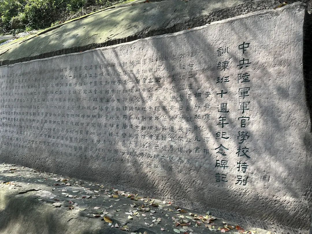 八九聚合川 问道新商机 | 春沣野马总裁班游学重庆丰赢