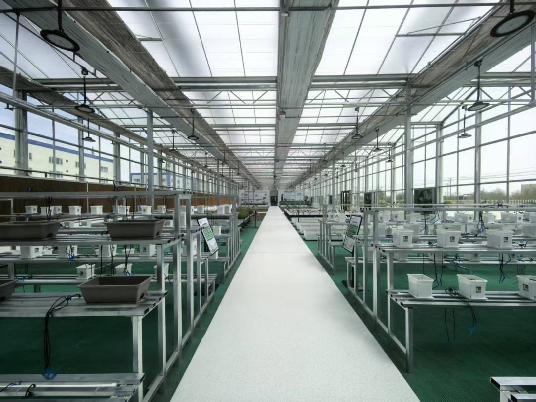 全球肥料增效技术哪家强？中国武威找金仓！