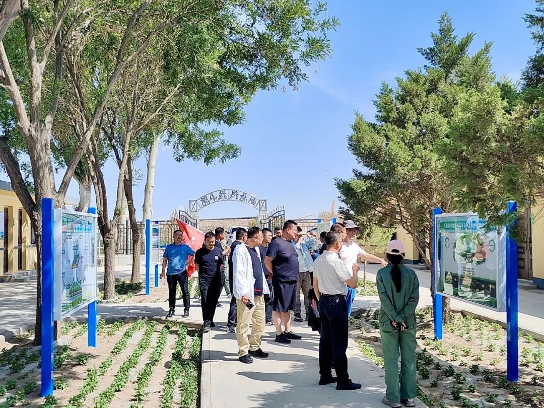 野马踏飞燕，商海御长风丨春沣野马总裁班八九期游学武威金仓